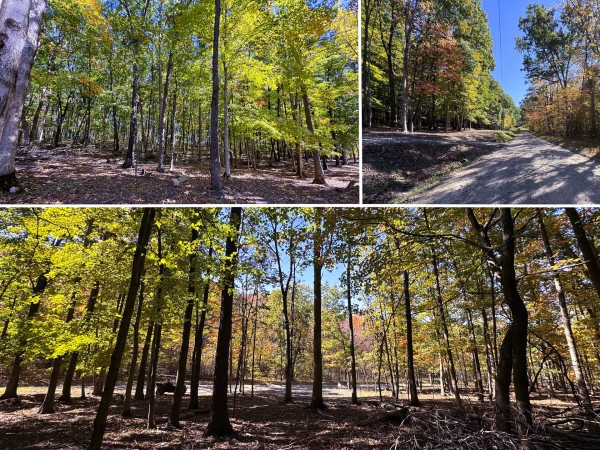 Tract 6 - Easterday Woods - Ross County, Ohio - 2.0 acres