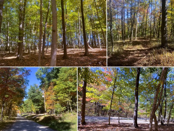 Tract 8 - Easterday Woods - Ross County, Ohio - 1.5 acres