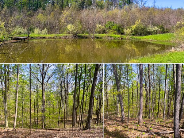 Tract 13 - Albany Woods - Meigs County, Ohio - 35.7 acres