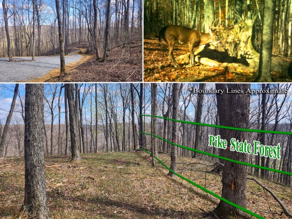 Tract 4 - Pike Lake Getaway - Pike County, Ohio - 10.6 acres