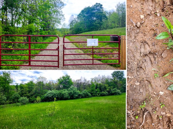 Tract 6 - Albany Woods - Meigs County, Ohio - 5.0 acres