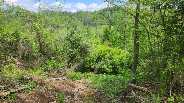 Tract 5 - Albany Woods - Meigs County, Ohio - 5.1 acres