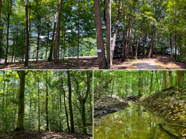 Tract 2 at Wolf Hill Estates - Vinton County, Ohio - 5.5 acres