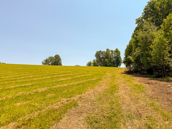 Tract 3 at Wolf Hill Estates - Vinton County, Ohio - 5.0 acres