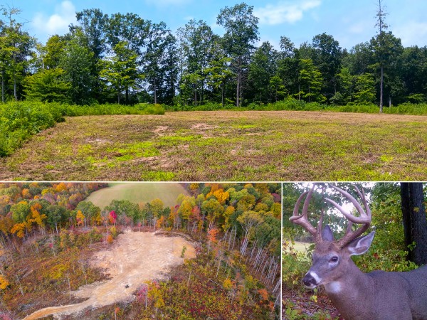 Hunters Haven on Huston Rd - Vinton County, Ohio - 17.8 acres