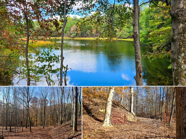 The Ponds at Poplar Ridge – Tract 10 - Gallia County, Ohio - 12.6 acres