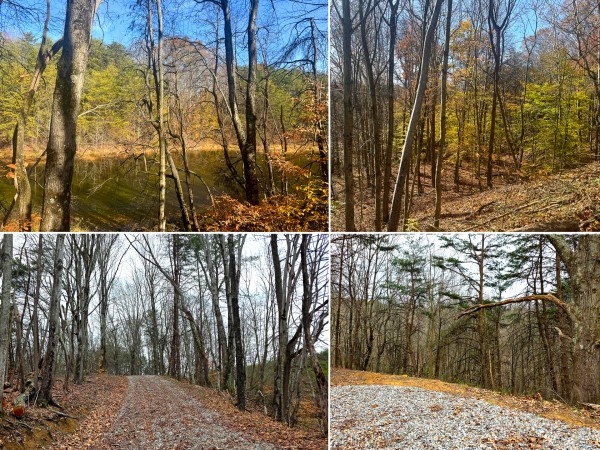 The Ponds at Poplar Ridge – Tract 3 - Gallia County, Ohio - 9.0 acres