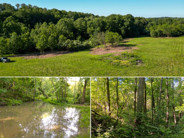 Tract 2 - Albany Hideaway - Meigs County, Ohio - 11.9 acres
