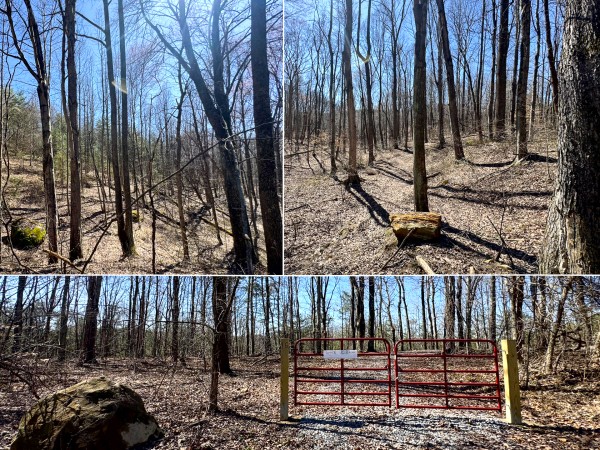 Tract 16 at The Ponds at Poplar Ridge - Gallia County, Ohio - 10.8 acres