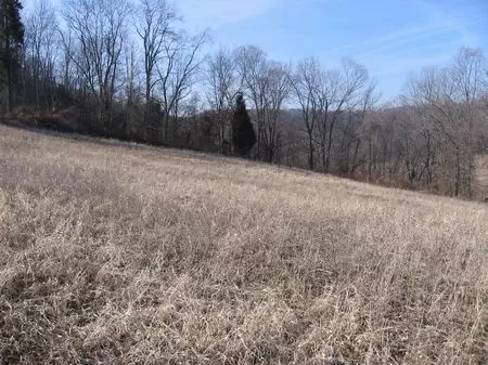 18 Ac. Of Woods Perfect for Hunting