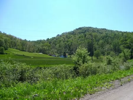 39 Acres with House and Woods