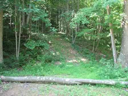 40 Acre Wooded Hunting Retreat