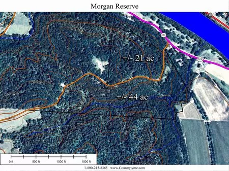 21 Wooded Acres - Hunting Land