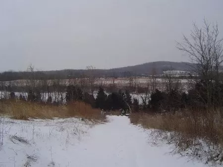 33 Ac House Stocked Pond