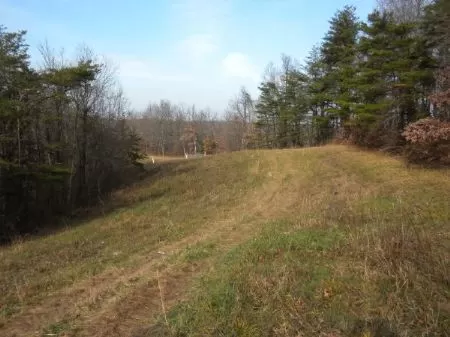25 Acres Prime Deer Hunting