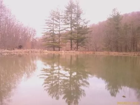 44 Acres Cabin Pond Horse Stables