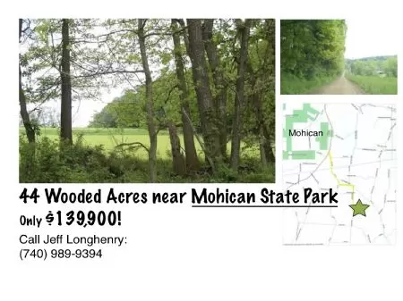 44 Wooded Acres Near Mohican Park