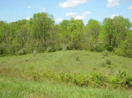 85 Acres Sand Rock Trails On Wayne