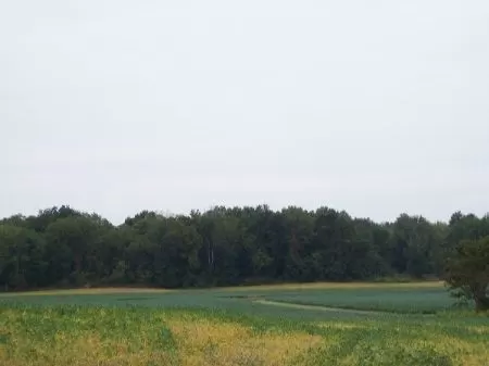 56ac Hunting W/building Site