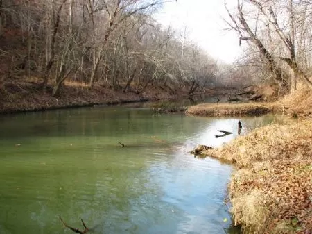 40 Ac 3/4 Mile Of Creek Frontage