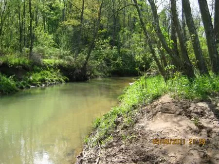 20 Acres Atv Or Deer Hunting Fun