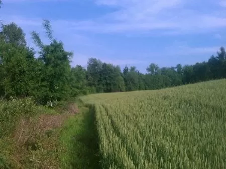 24 Acres Hot Location