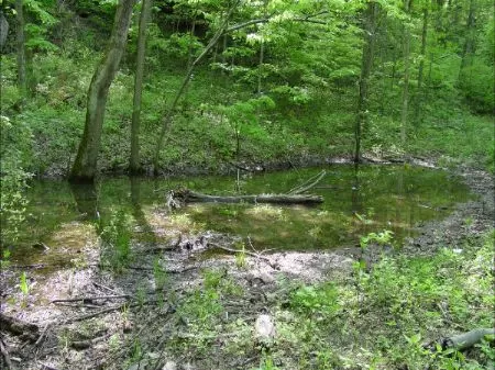 Near The Muskingum River