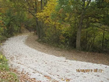 16 Acres Full Of Deer