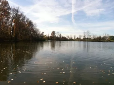 23.45 Acres Big Lake property photo 1