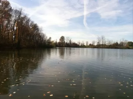 23.45 Acres Big Lake