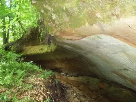 100 Acres Beautiful Property