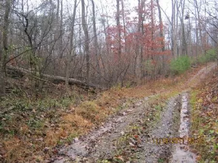 53 Acres Touches Wayne National