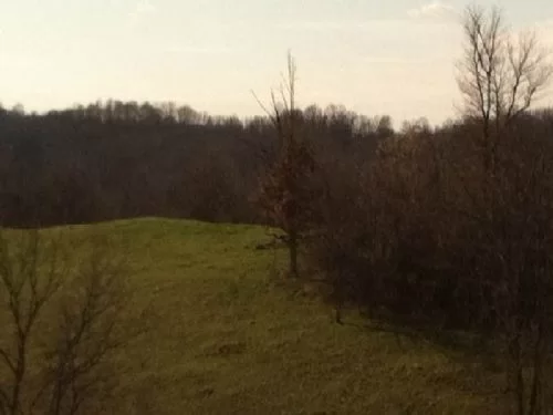 32 Acres Morgan Touches Wolf Creek property photo 1