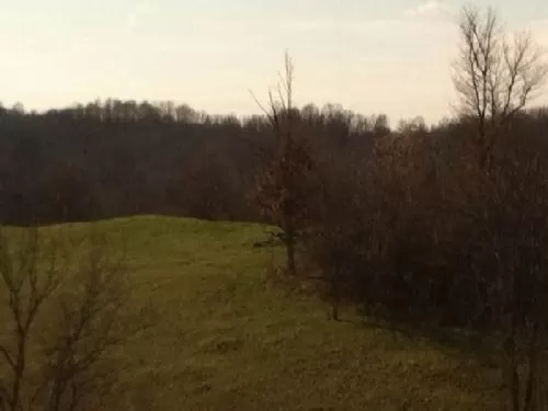 32 Acres Morgan Touches Wolf Creek