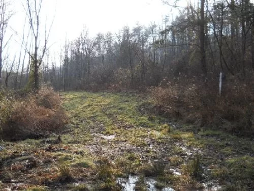 28 Acres That Touch Wayne National property photo 1