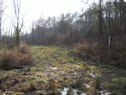 28 Acres That Touch Wayne National