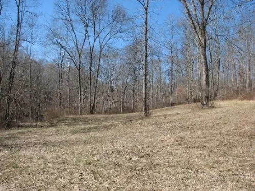72 Acres Mineral Rights Transfer