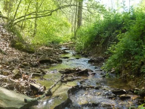 In Contract 25+ Ac Shawnee Forest