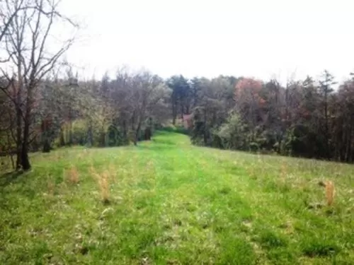 Absolutely Beautiful 80 Acres