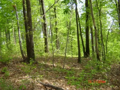 State&national Park Land On 2 Sides