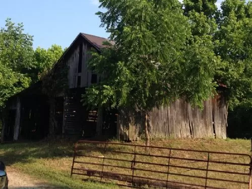 91 Acres Reduced Price