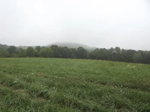 +/- 18 Acres for $59,900. property photo 1