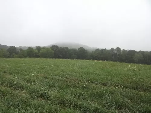 +/- 18 Acres for $59,900.