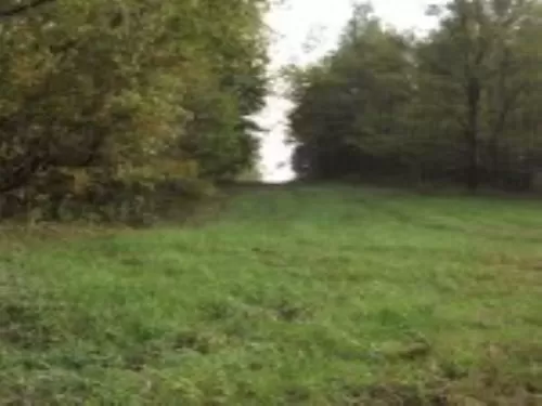 14 Acres in The Country