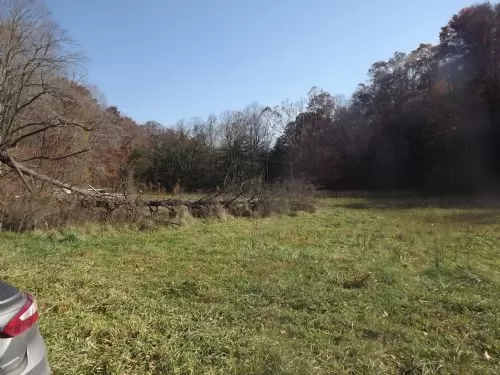 10+/- Wooded and Open