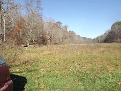 10 Acre Wooded Tract property photo 1