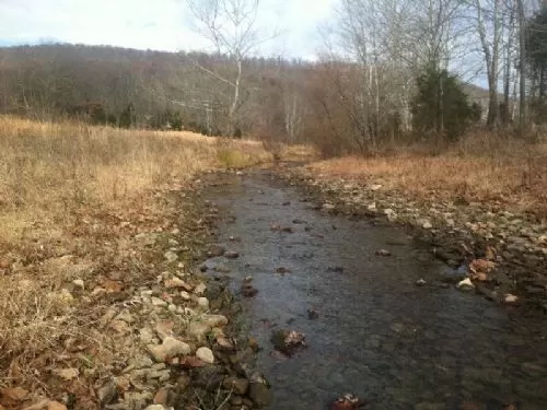 40ac Tillable Touches Brush Creek