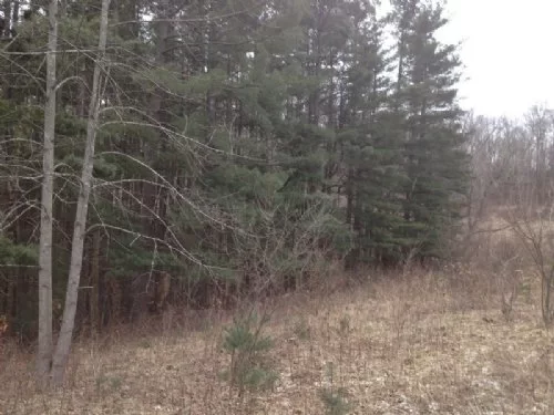 32 A On Wnf and Siverly Creek property photo 1
