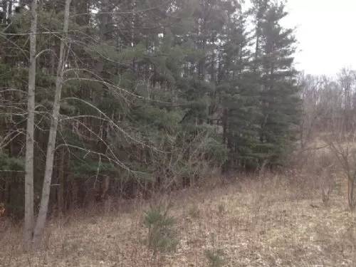 32 A On Wnf and Siverly Creek