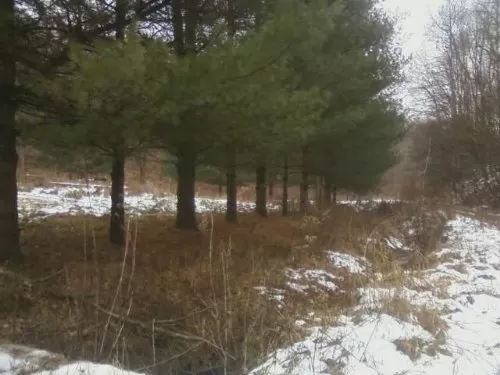 2 Ac Near Wayne Nat. Forest